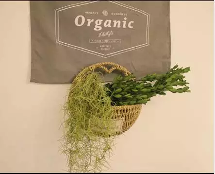 你的家配電箱，所以裝修很漂亮！